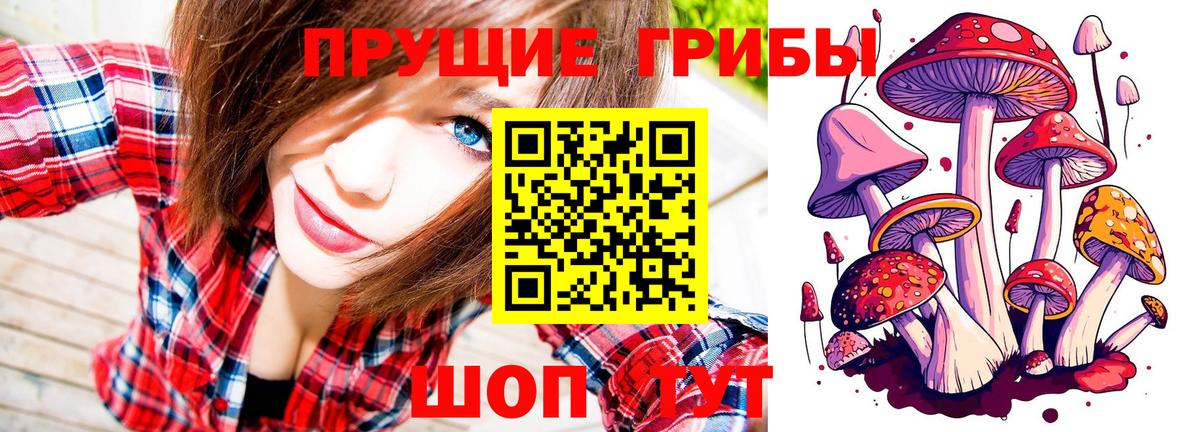 закладки  Галлюциногенные грибы мухоморы  Вход с VPN  Тайшет  Псилоцибиновые грибы GOLDEN TEACHER 